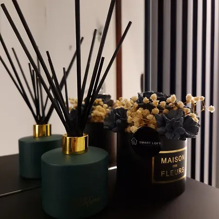 Smart Loft - Connection Of Center And Luxury 图兹拉